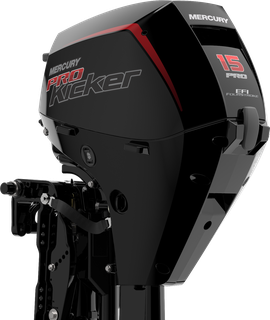 FourStroke 15hp ProKicker